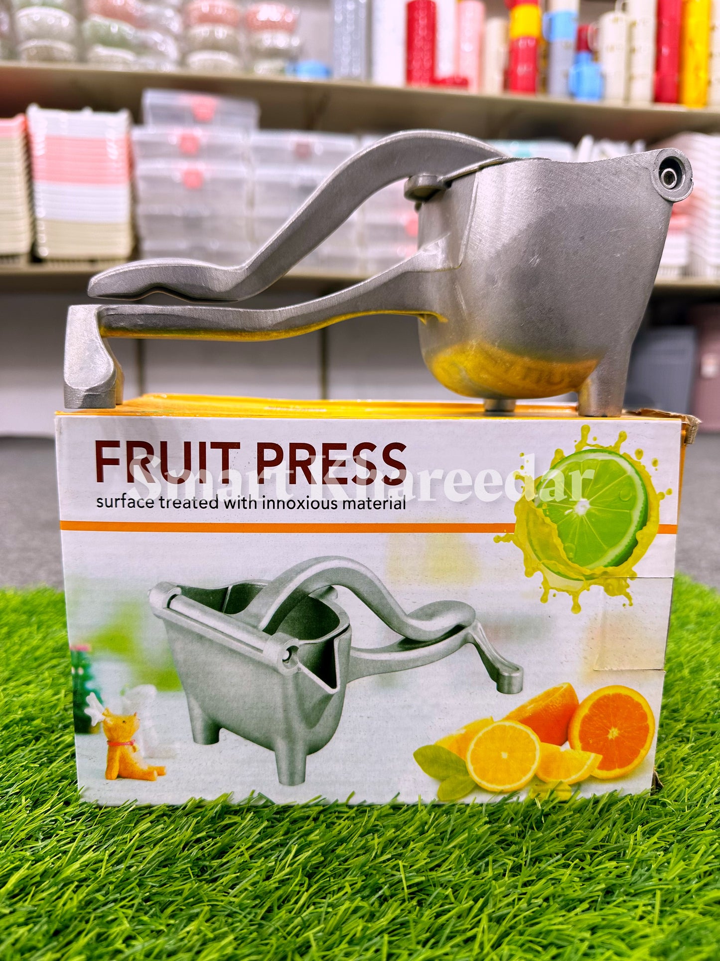 Steel Fruit Juice Press